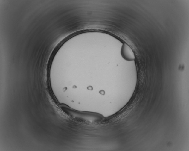 X0000096970980200803071002