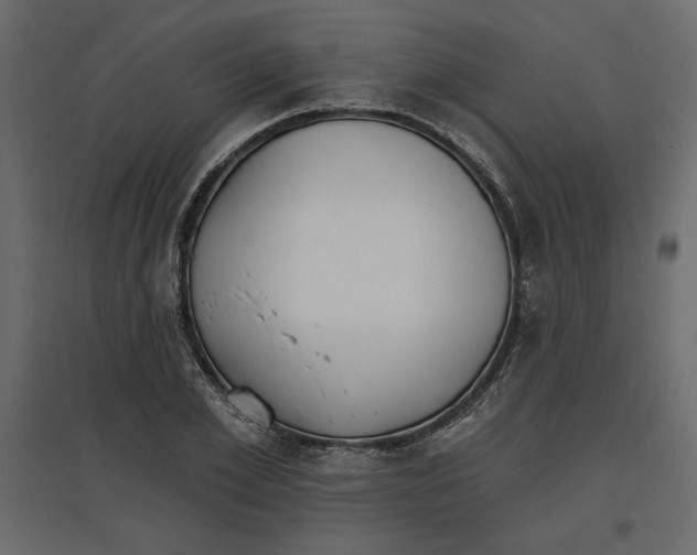 X0000096970981200803071002