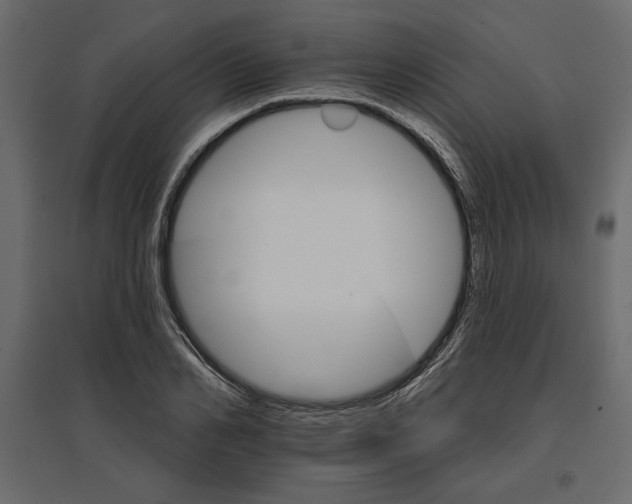 X0000096970982200803071002