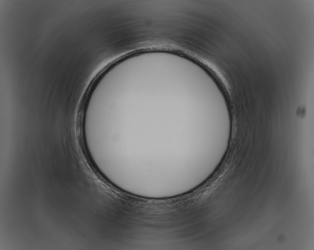 X0000096970983200803071002