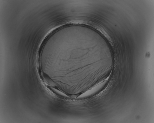 X0000096970984200803071002