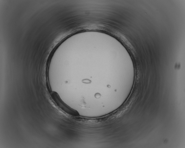 X0000096970986200803071002