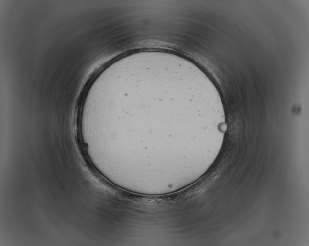 X0000096970987200803071002