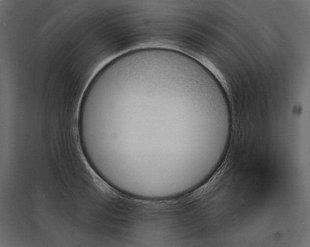 X0000096970988200803071002