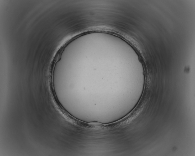 X0000096970989200803071002