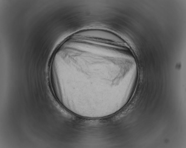 X0000096970990200803071002