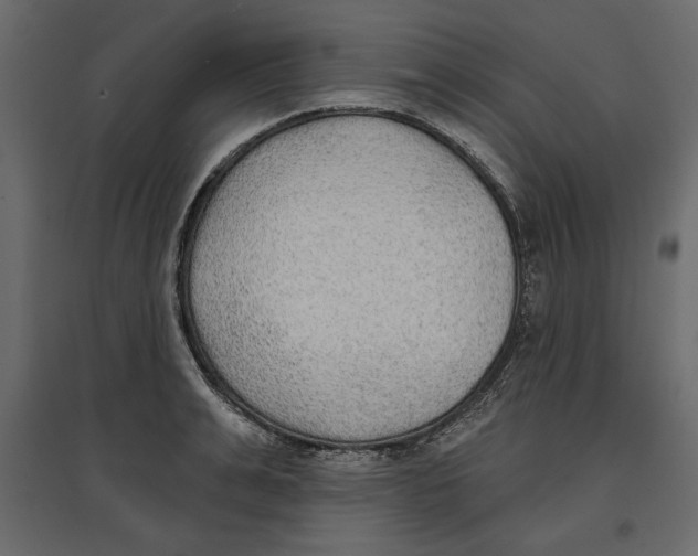 X0000096970991200803071002