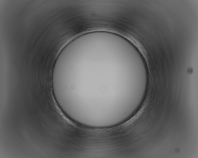 X0000096970993200803071002