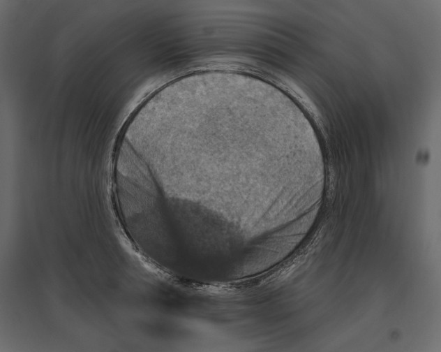 X0000096970994200803071002