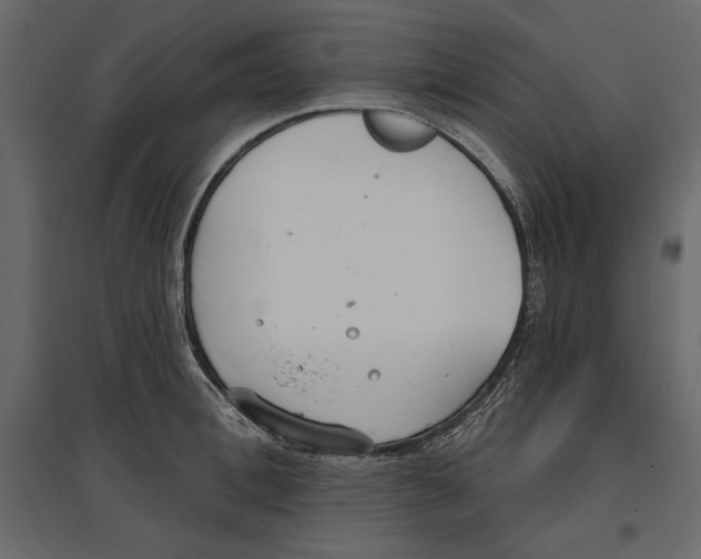 X0000096970996200803071002