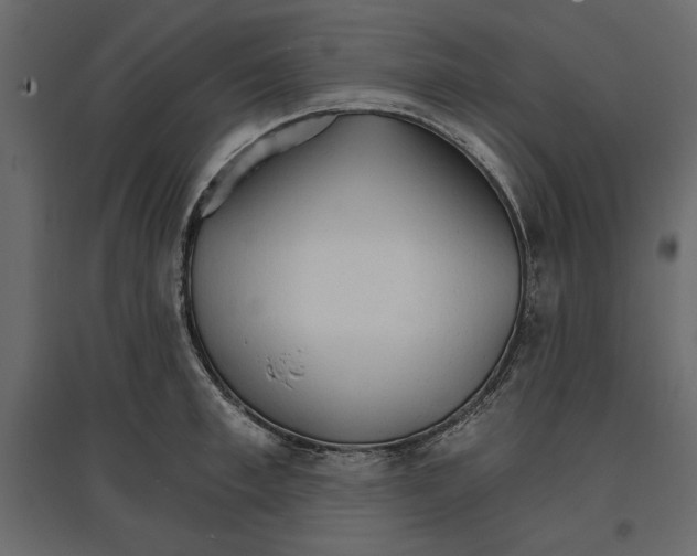 X0000096970997200803071002