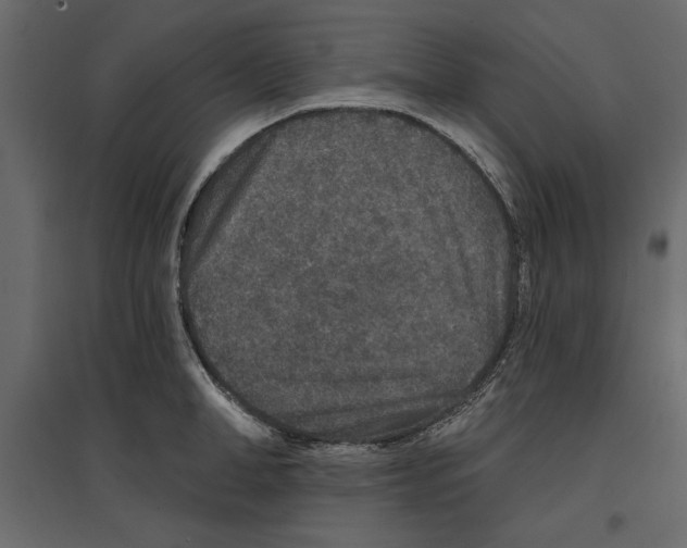 X0000096970998200803071002