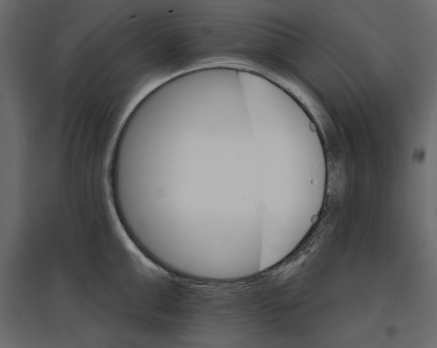 X0000096970999200803071002