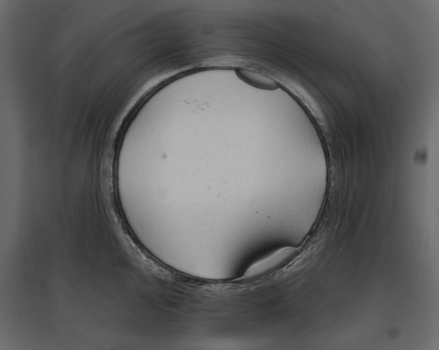 X0000096971000200803071002