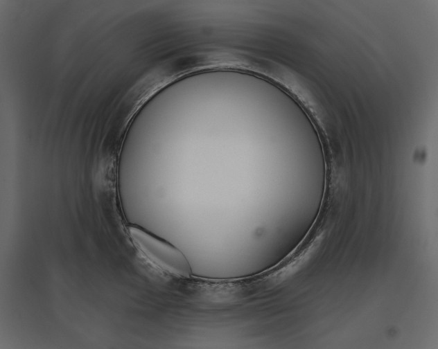 X0000096971001200803071002