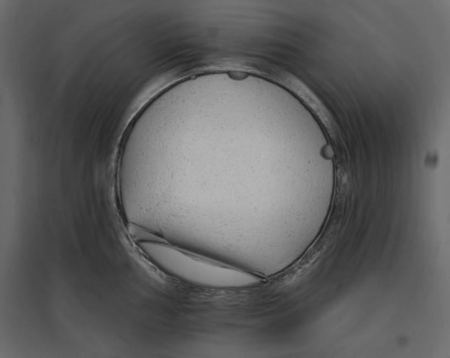 X0000096971002200803071002