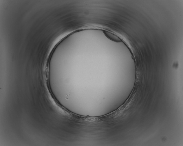 X0000096971003200803071002