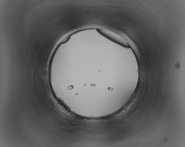 X0000096971004200803071002