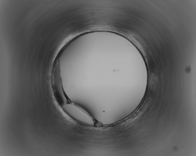 X0000096971005200803071002