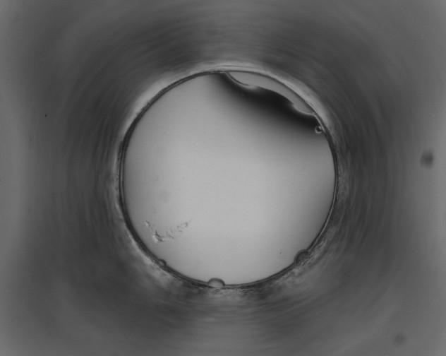 X0000096971006200803071002