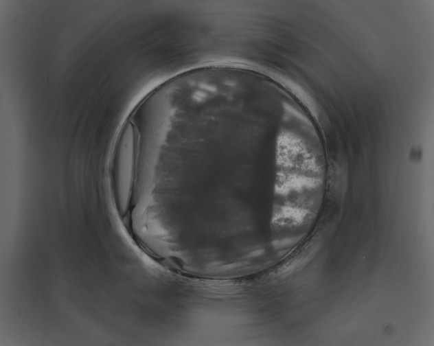 X0000096971007200803071002