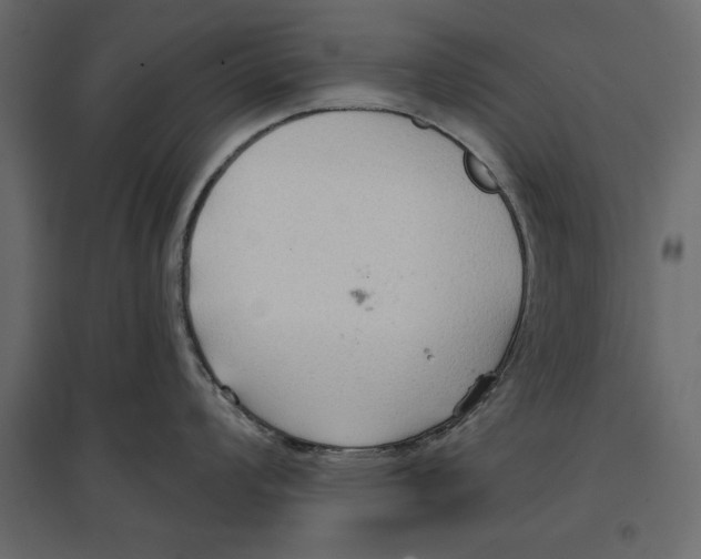 X0000096971008200803071002