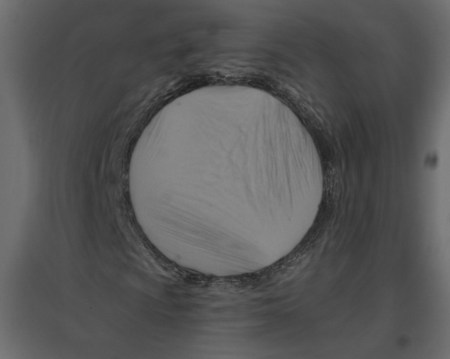 X0000096971009200803071001