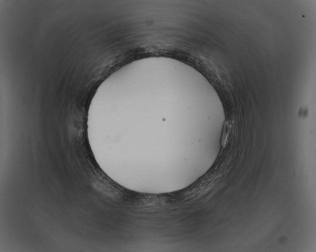 X0000096971012200803071001