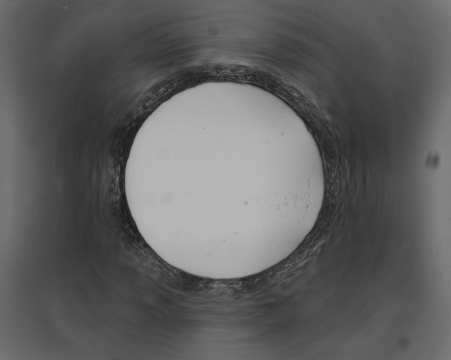 X0000096971013200803071001