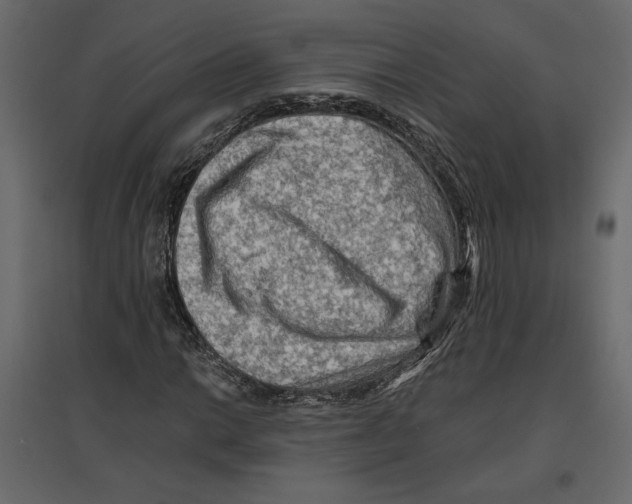 X0000096971014200803071001