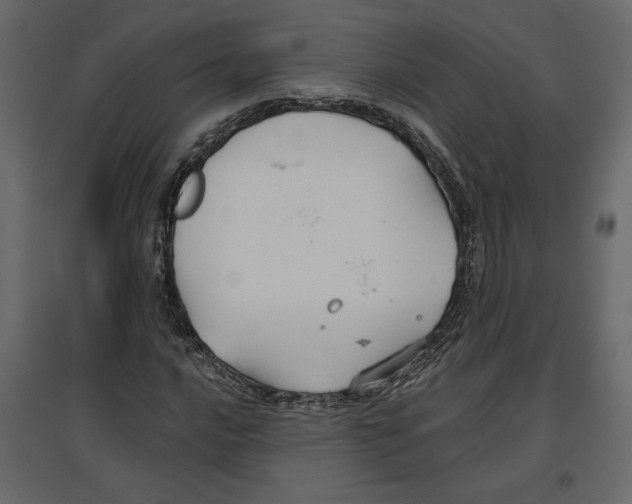 X0000096971016200803071001