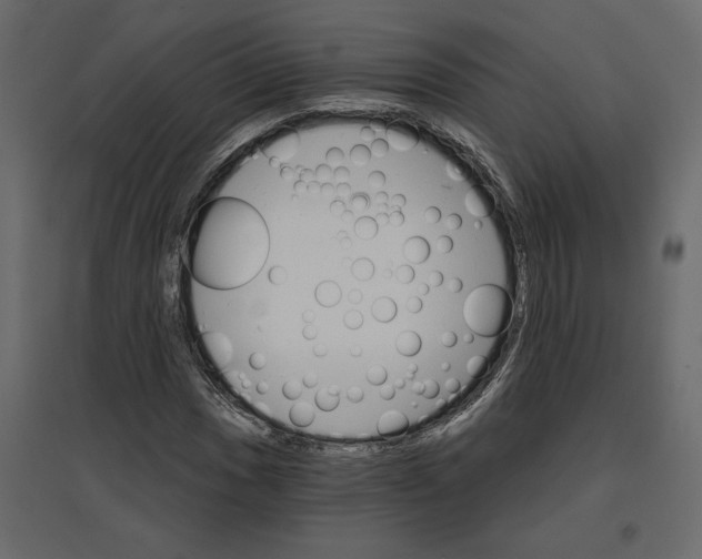 X0000096971017200803071001