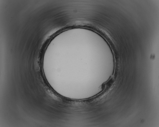 X0000096971018200803071001