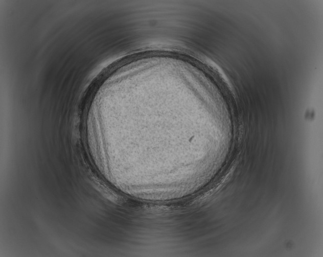 X0000096971019200803071001