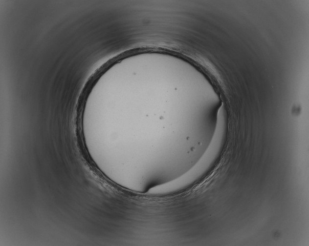 X0000096971020200803071001