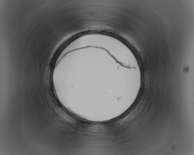 X0000096971021200803071001