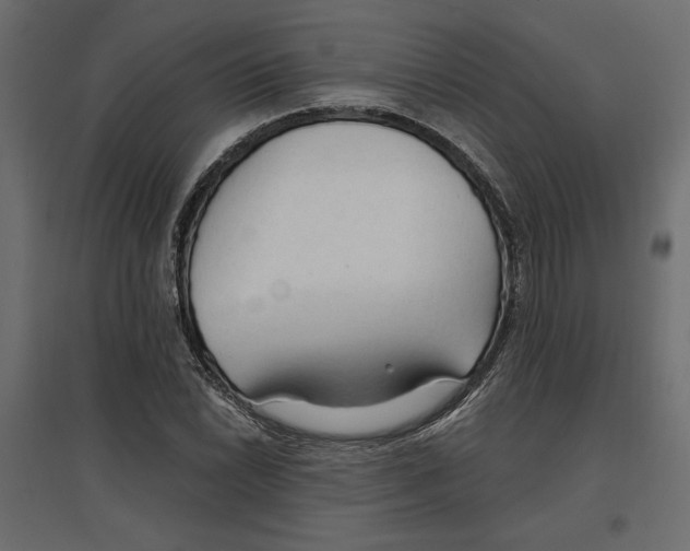 X0000096971022200803071001