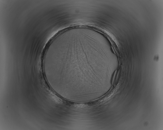 X0000096971023200803071001