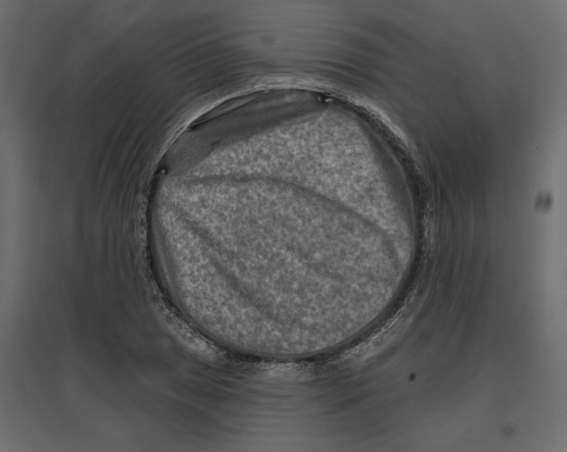 X0000096971025200803071001