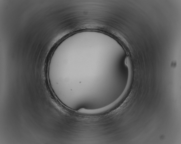 X0000096971026200803071001