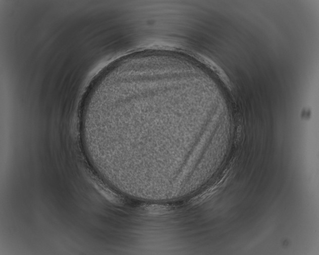 X0000096971027200803071001