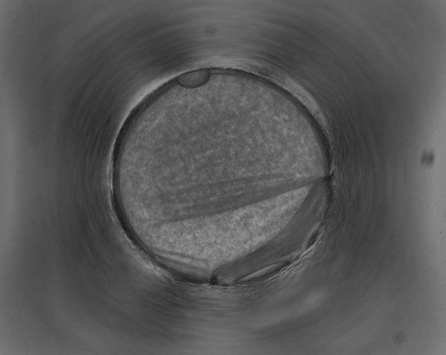 X0000096971028200803071001