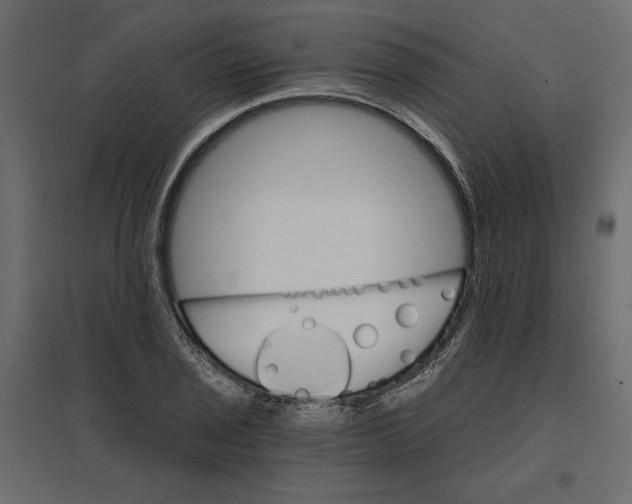 X0000096971029200803071001