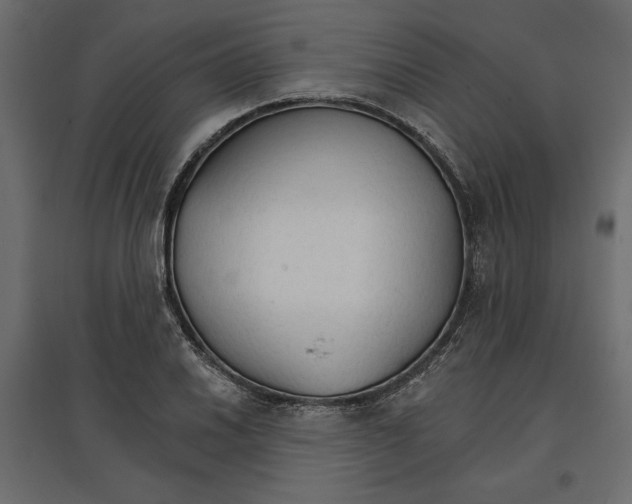 X0000096971030200803071001