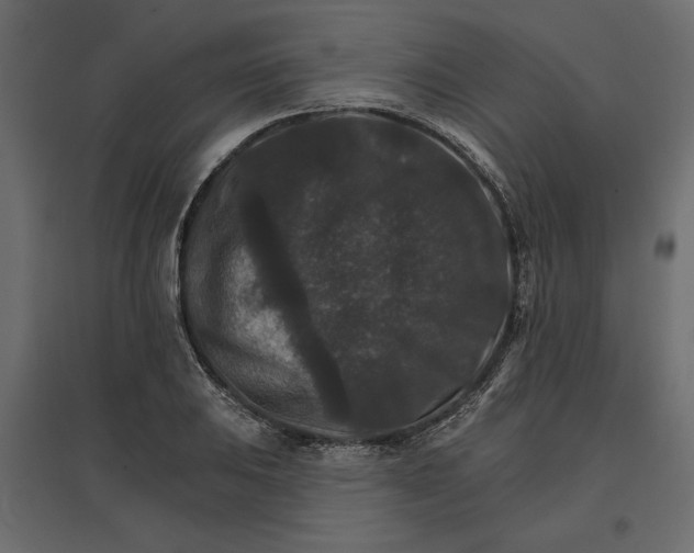 X0000096971031200803071001