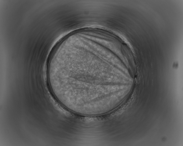 X0000096971032200803071001