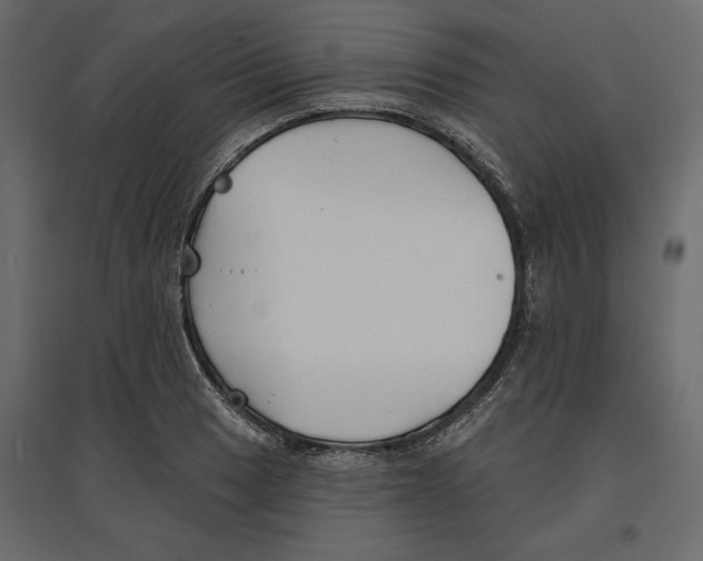 X0000096971033200803071001