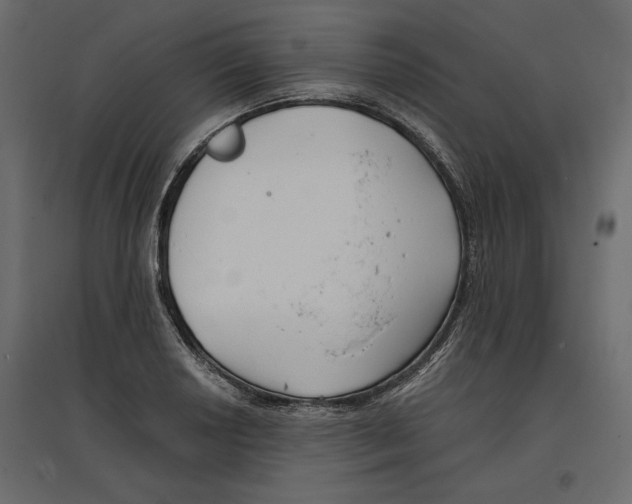 X0000096971034200803071001