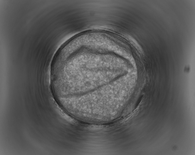 X0000096971036200803071001