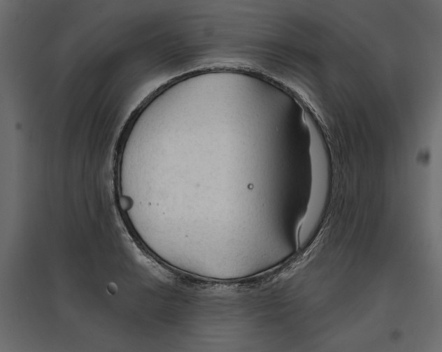 X0000096971038200803071001